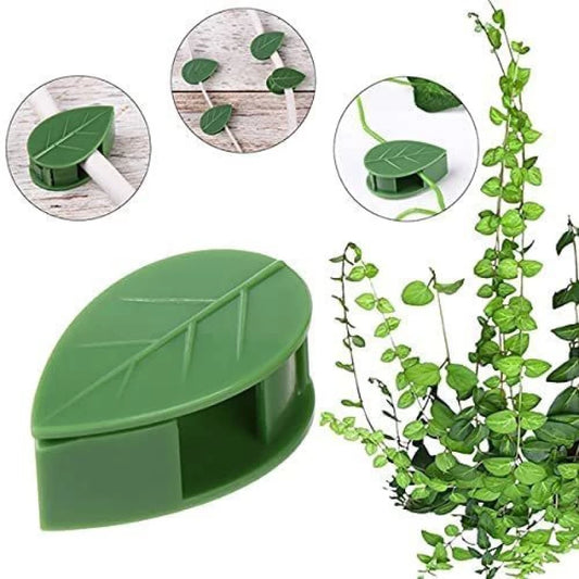 Leafy Climber Clips – Stylish Support for Your Indoor Garden