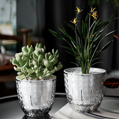 Transparent Self-Watering Pot