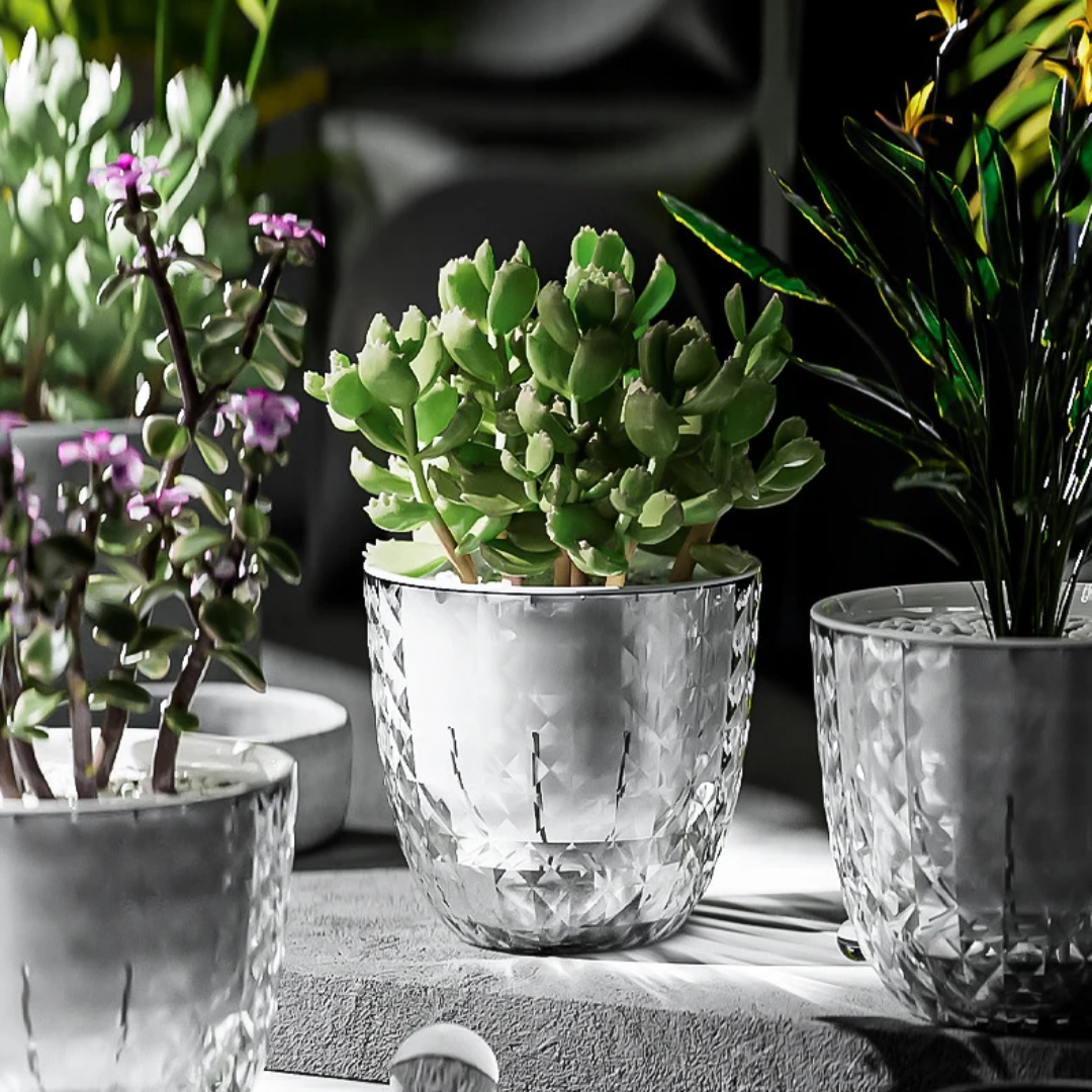 Transparent Self-Watering Pot