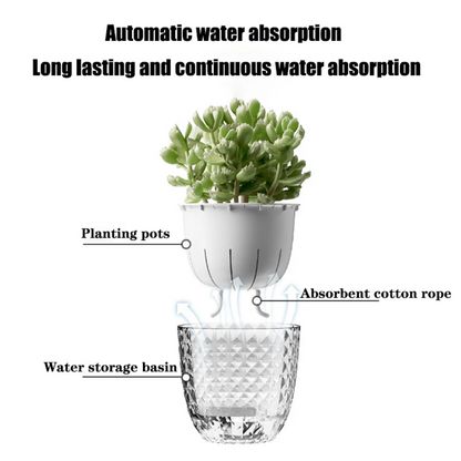 Transparent Self-Watering Pot