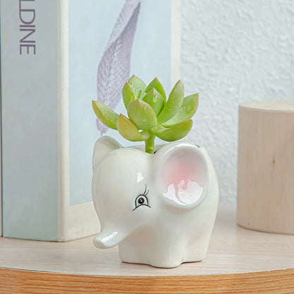 Ceramic elephant-shaped planter holding a green succulent, displayed on a wooden surface.
