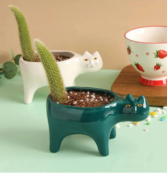 Ceramic Cat Planter