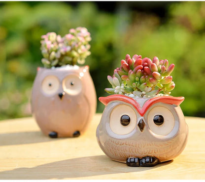 Owl Ceramic Planter