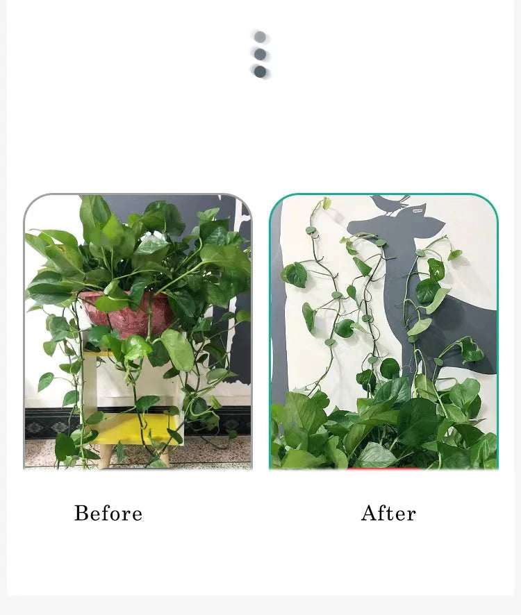 Leafy Climber Clips – Stylish Support for Your Indoor Garden