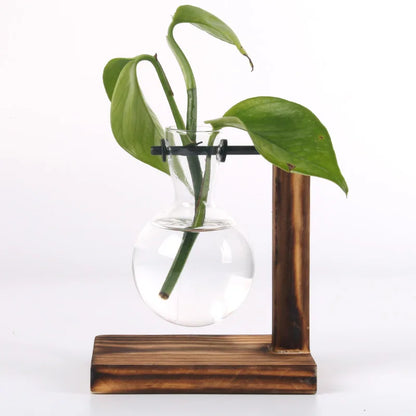 Glass Hydroponic Vase