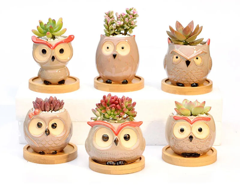 Owl Ceramic Planter