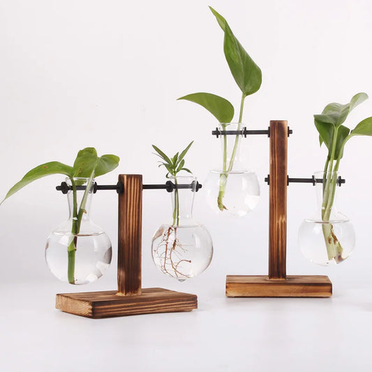 Glass Hydroponic Vase