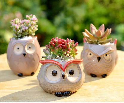 Owl Ceramic Planter