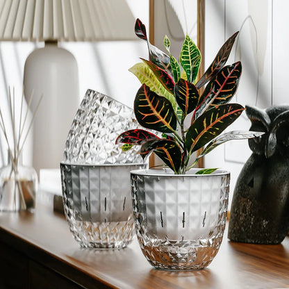 Transparent Self-Watering Pot